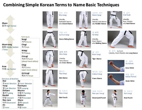Taekwondo Styles