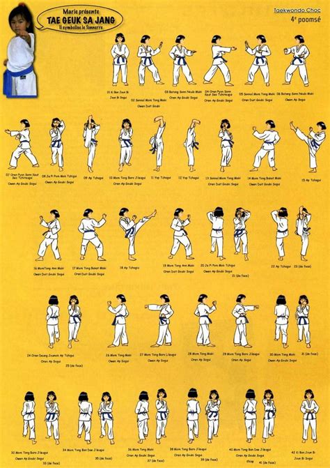 Taekwondo Techniques