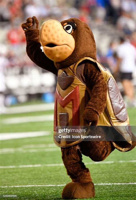 Testudo Mascot
