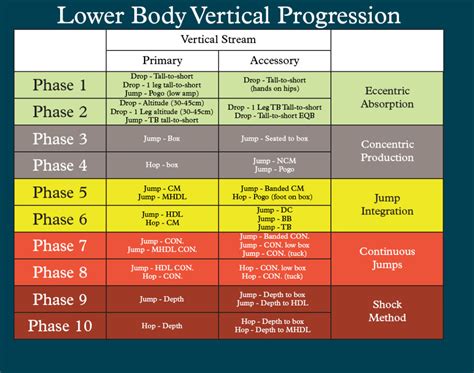 Three-Phase Training Progression