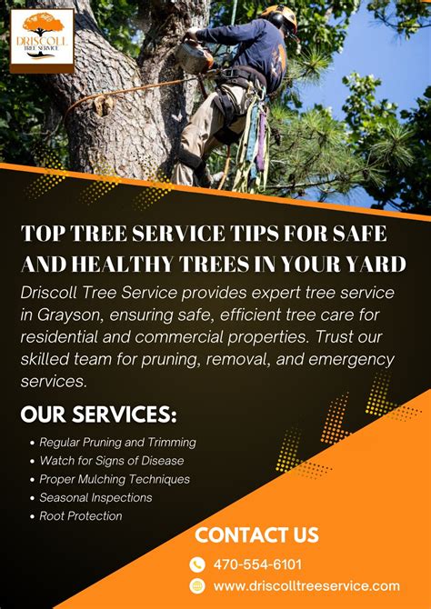 Tree Service Tips
