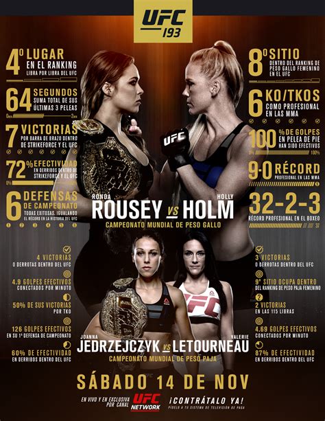 UFC 193
