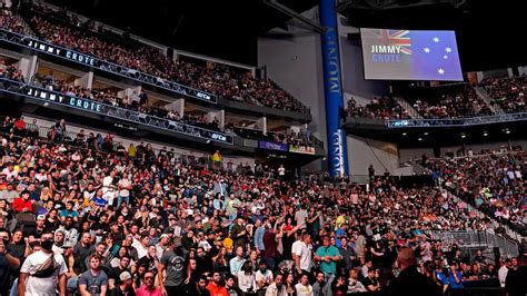 UFC Crowd