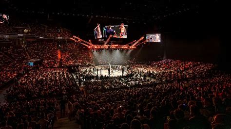 UFC Fight