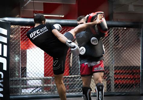 UFC Gym Training Session
