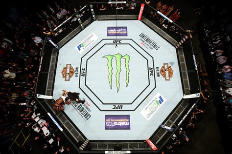 UFC Rules