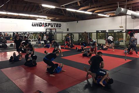 Undisputed MMA Gym