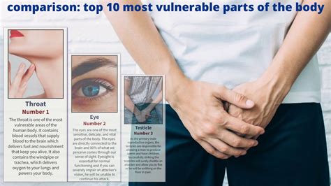 Vulnerable Body Parts