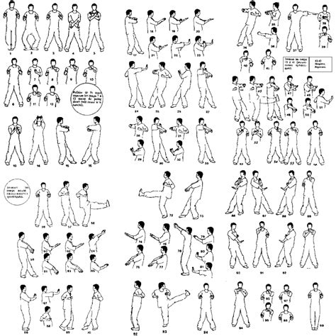 Wing Chun Ring Drills