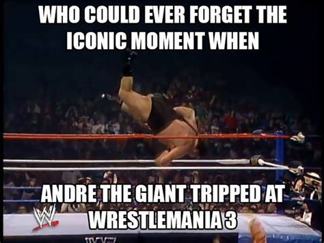 Wrestling Meme Example